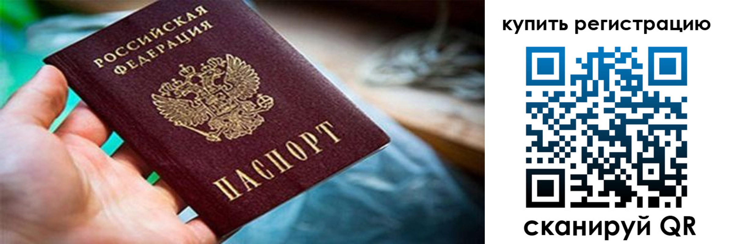 прописка гарантия в Полярных Зорях